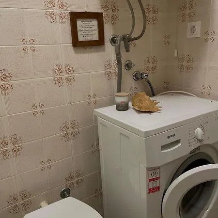 Apartment Mladinic *