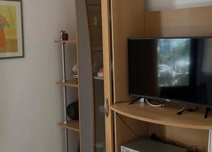 Mladinic Apartamento